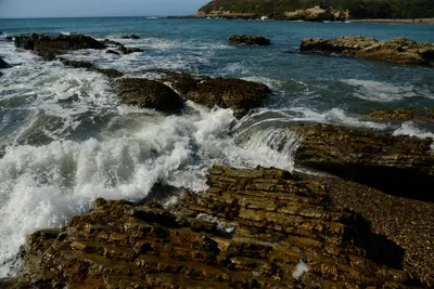 DSC_2584 (Large).JPG